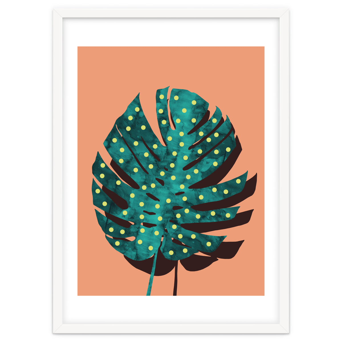 Monstera Deliciosa IV