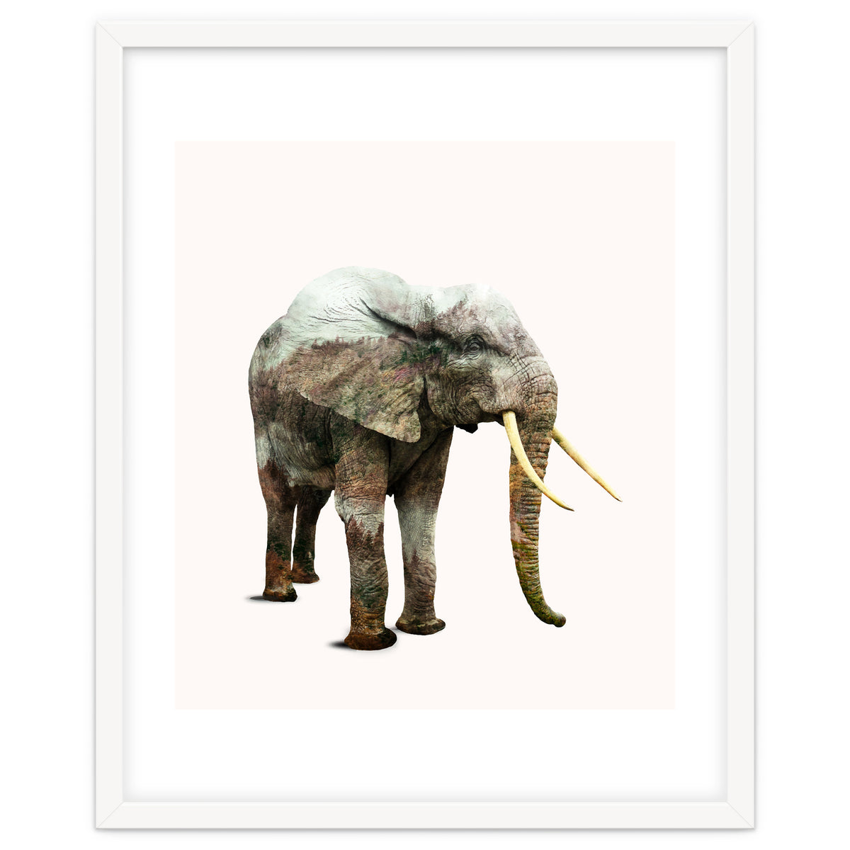 Elephant Transformation