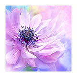 Wispy Purple Anemone (Print Only) thumbnail