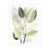 Spring Botanical Collage (Print Only) thumbnail
