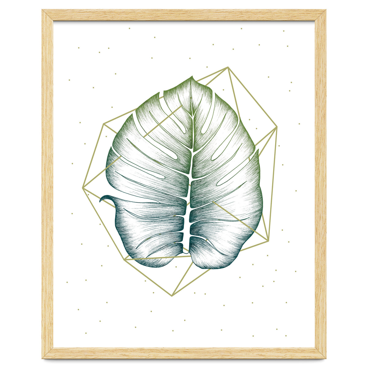 Geometry And Nature II