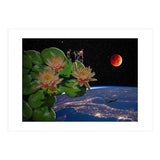 See From Lotus (Print Only) thumbnail
