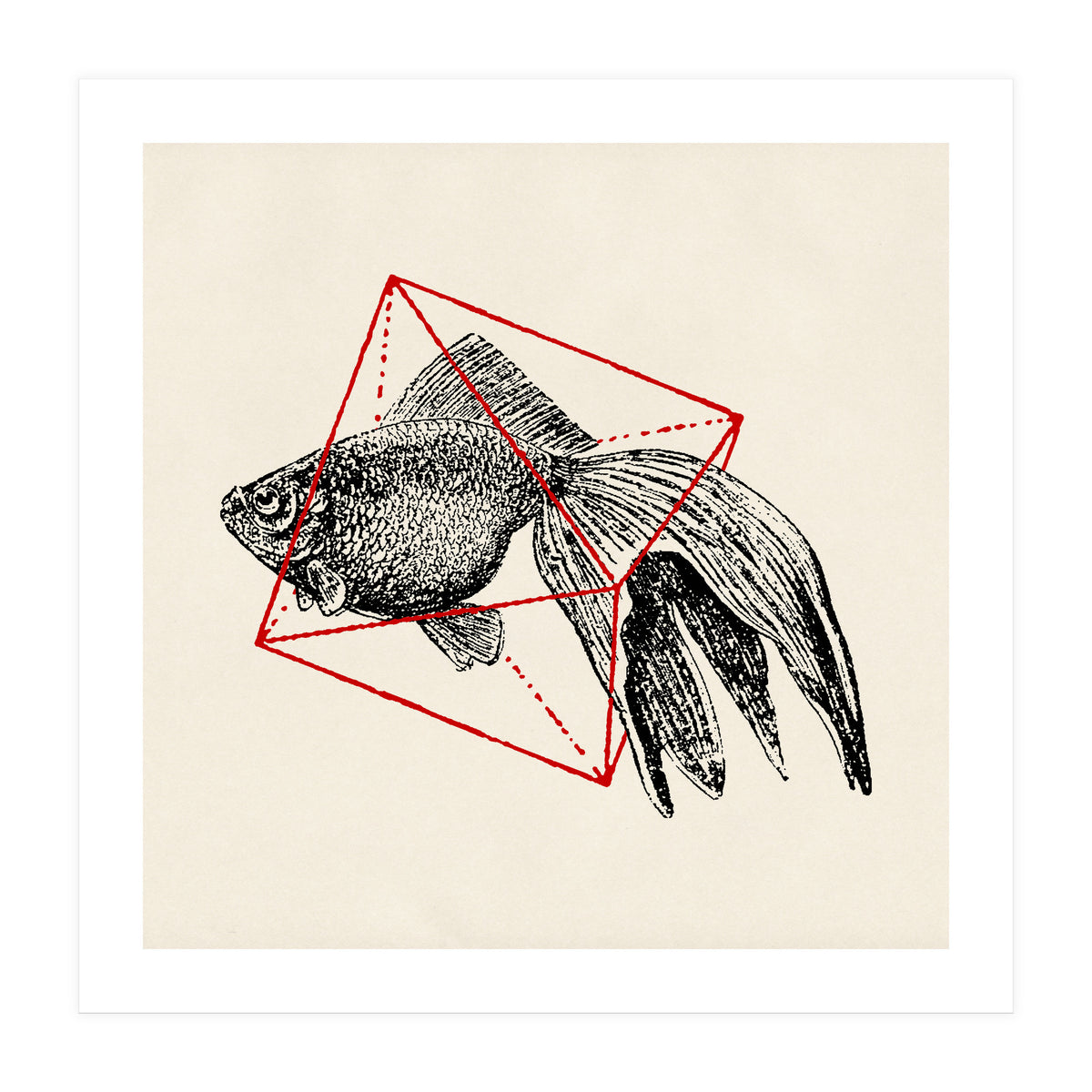 Fish In Geometrics III (Square) (Print Only)