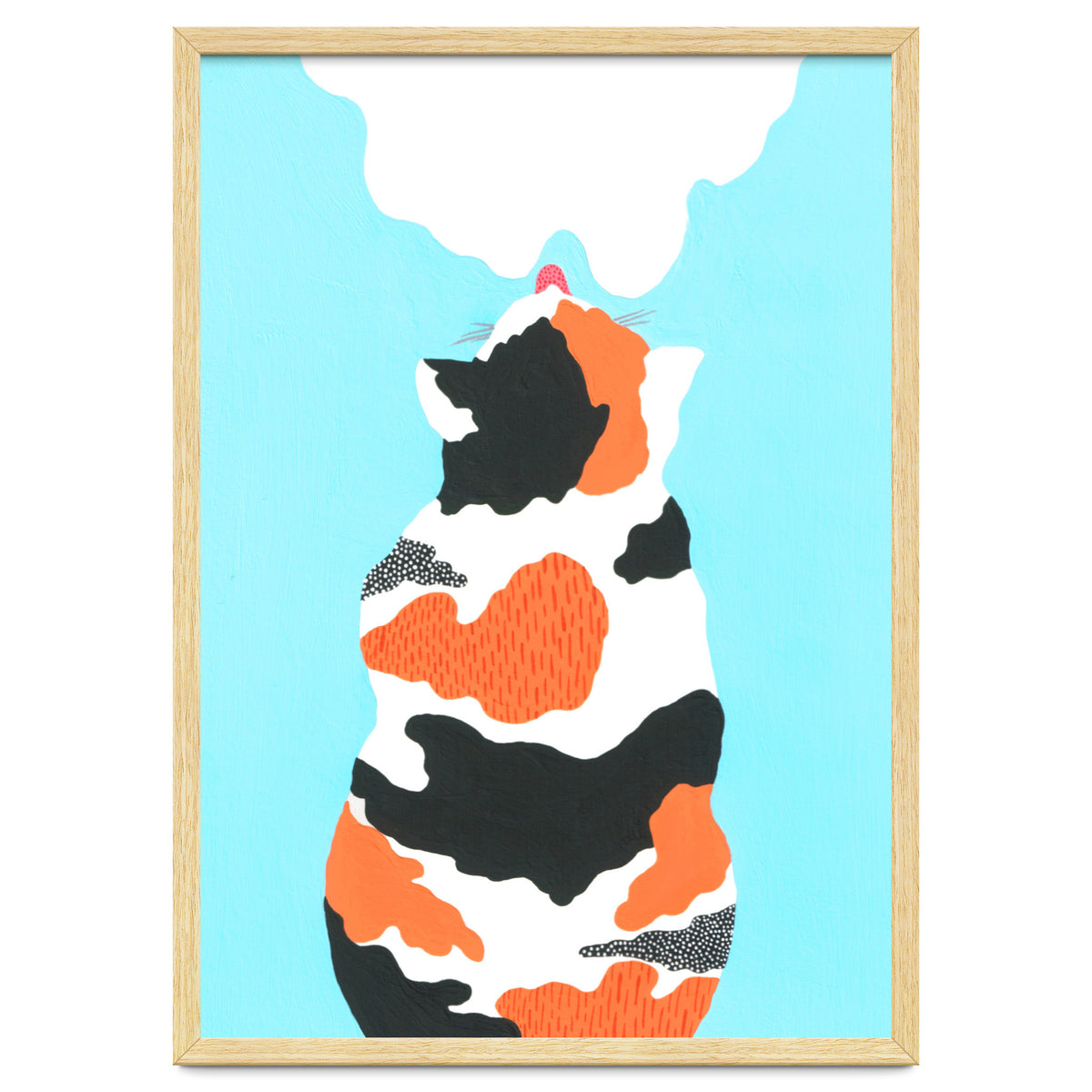 Tri Colored Calico Cat