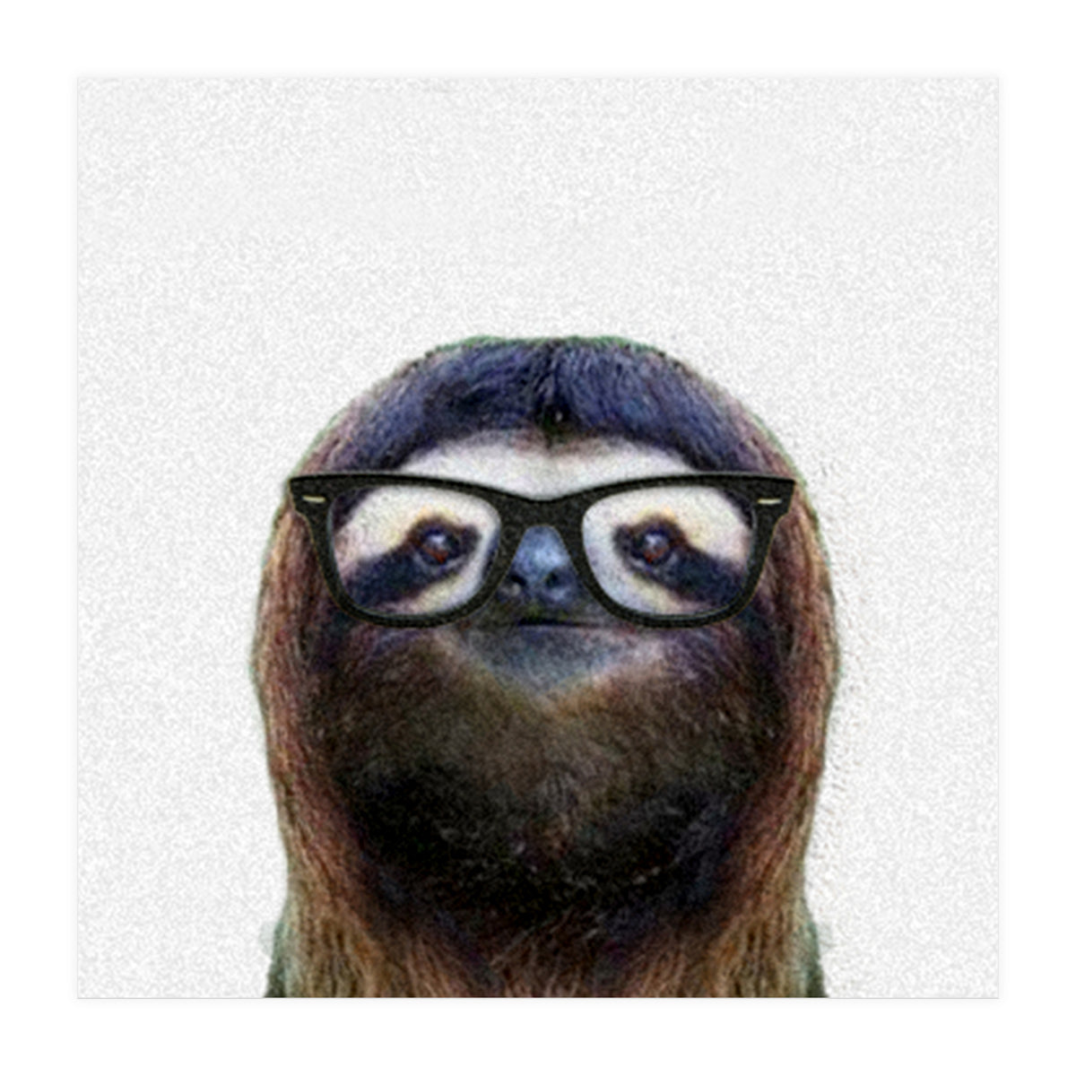 Geek Sloth (Print Only)