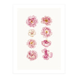 Cc Flower 04 (Print Only) thumbnail
