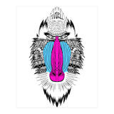 Mandrill (Print Only) thumbnail