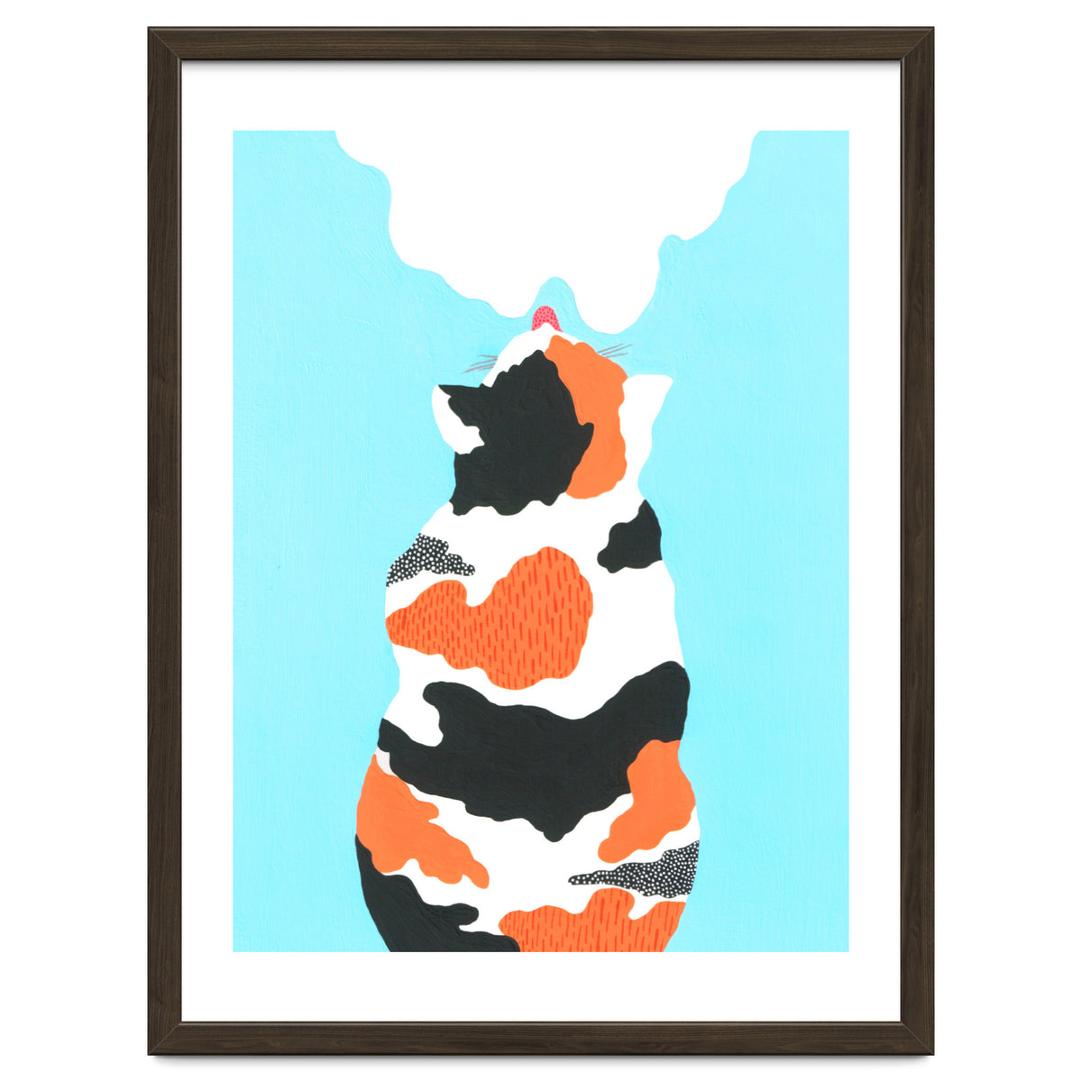 Tri Colored Calico Cat