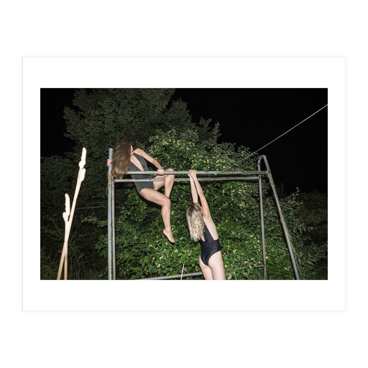 Wild Tales (Print Only)