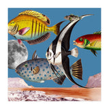 Fish World Blue (Print Only) thumbnail