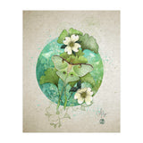 Luna Moth  (Print Only) thumbnail