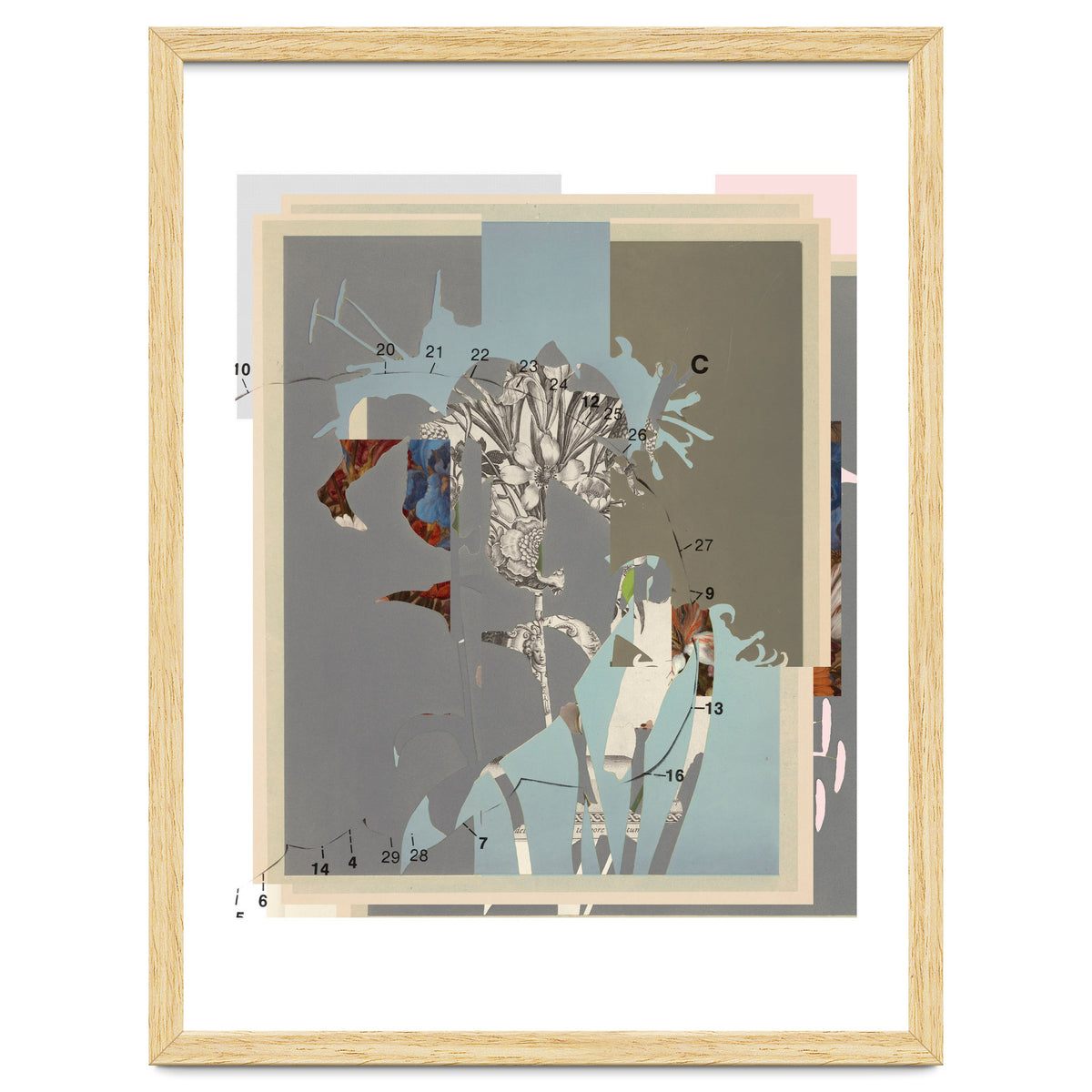 The First Plant · D