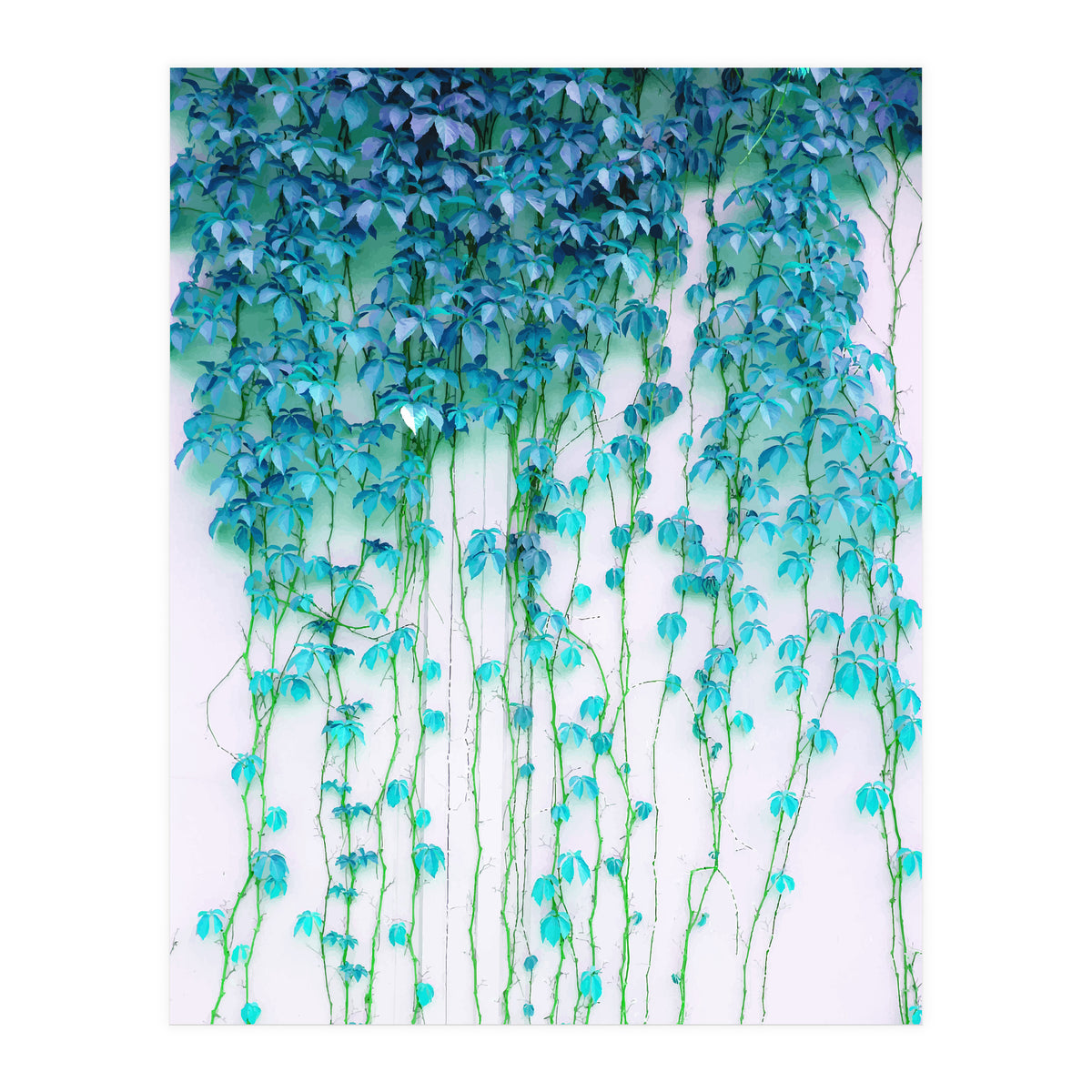 Average Absence, Botanical Minimal Nature Creepers Plants, Tropical Watercolor Bohemian Painting (Print Only)