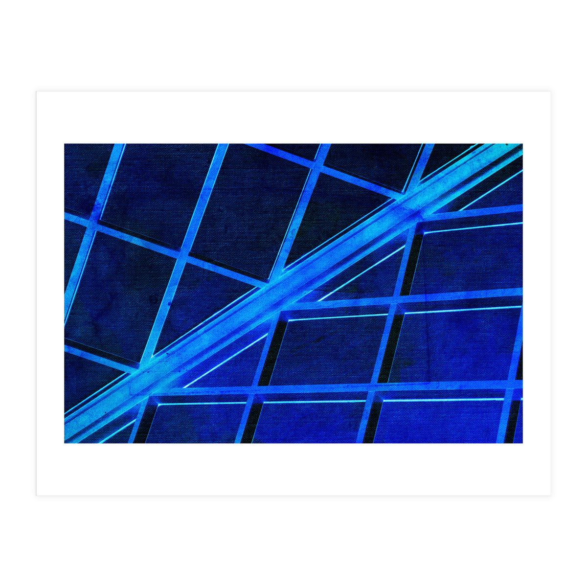 WTnight  (Print Only)