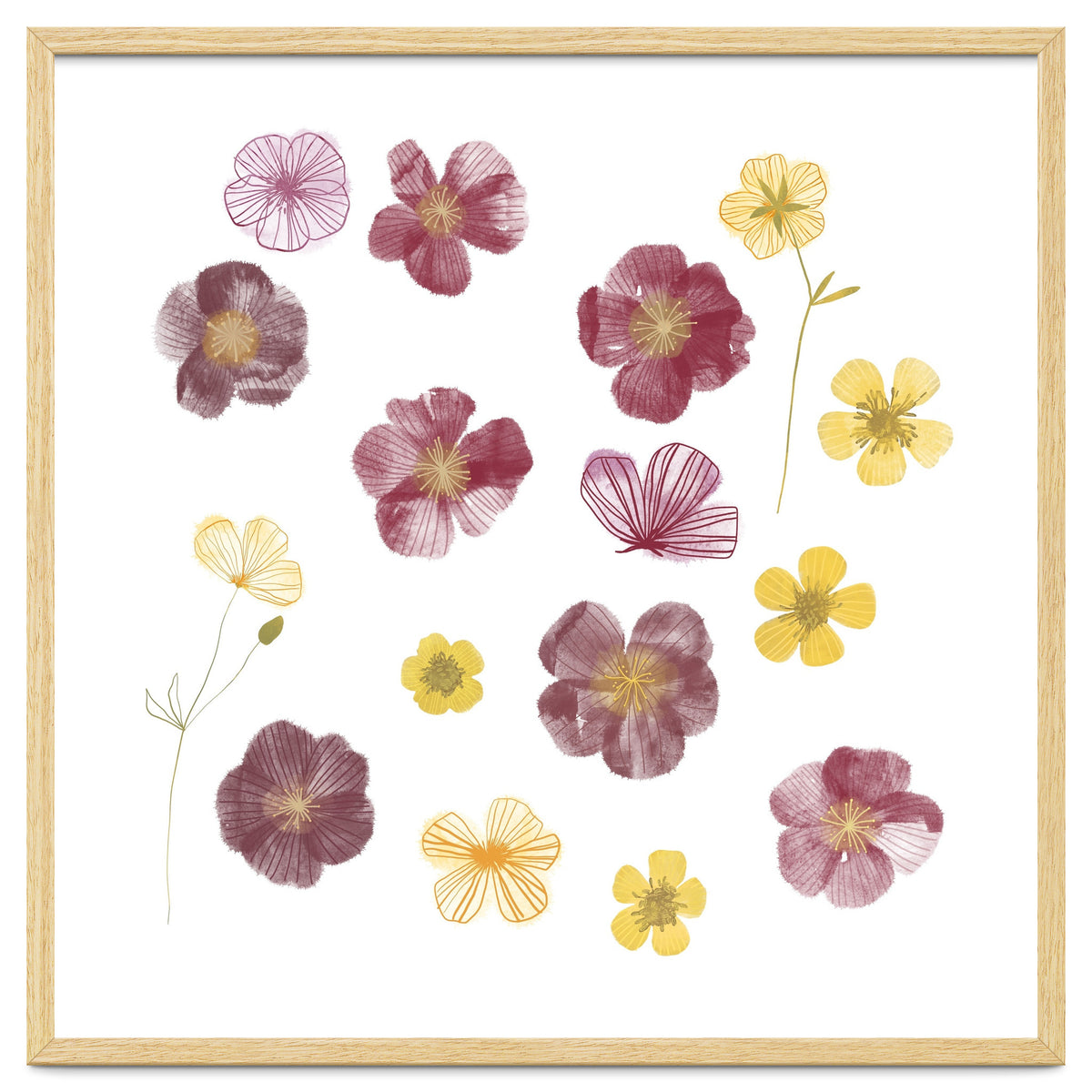 Pressed Flowers