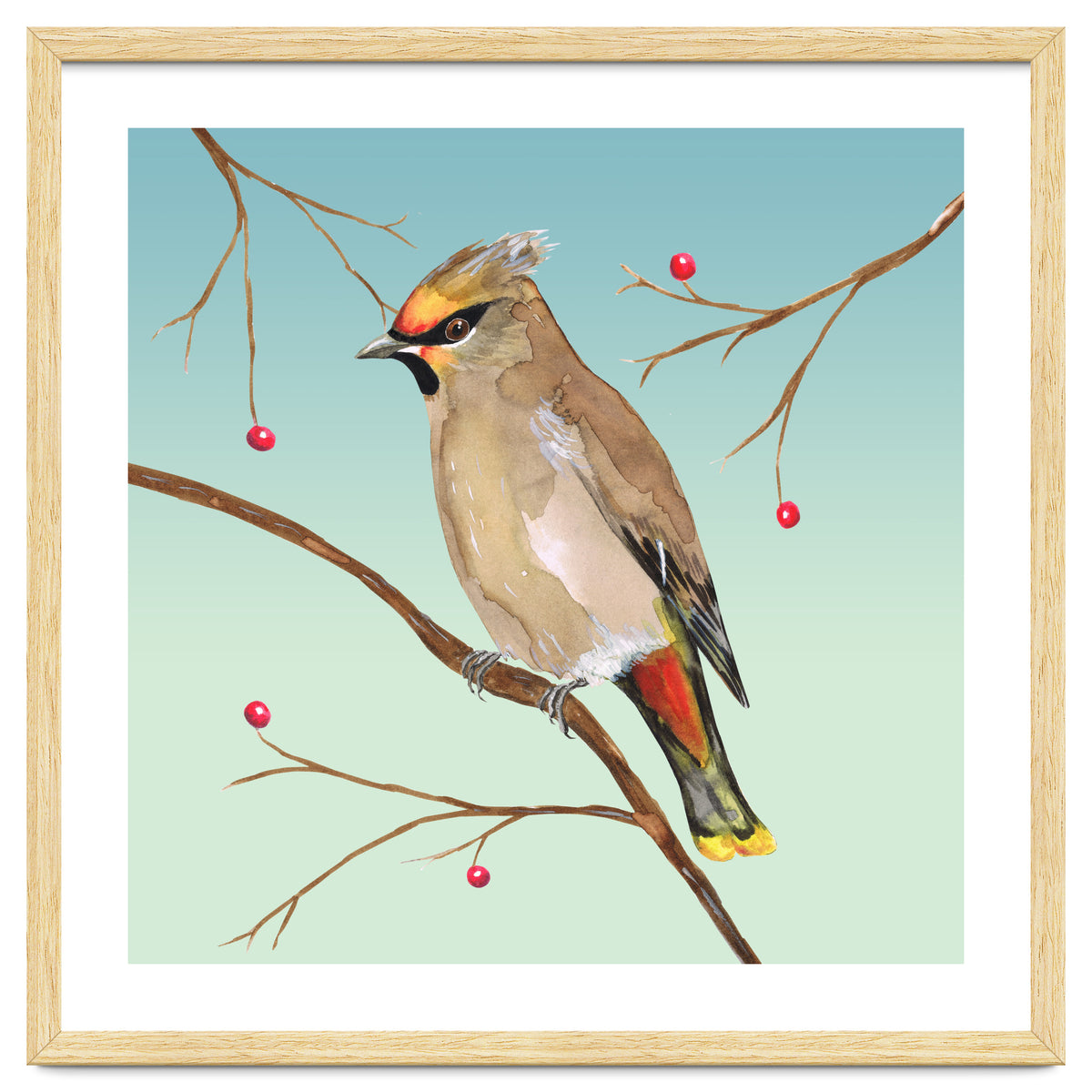 Bohemian waxwing
