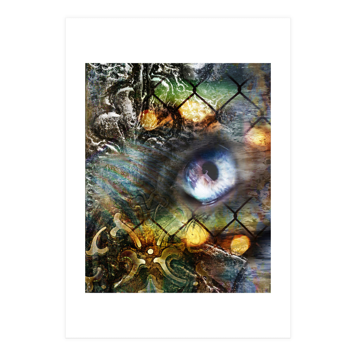 Perceptions (Print Only)