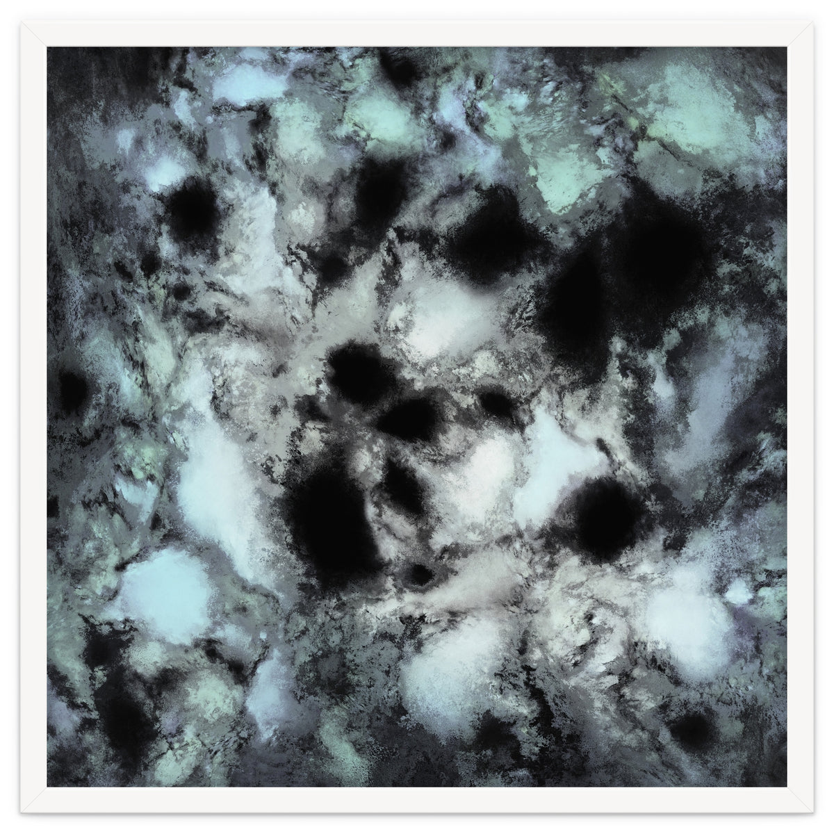 Searching For Animal Tracks