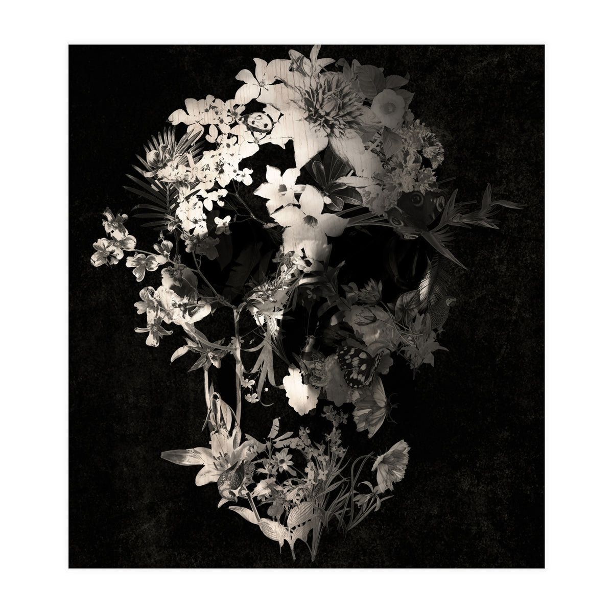 Spring Skull  (Print Only)