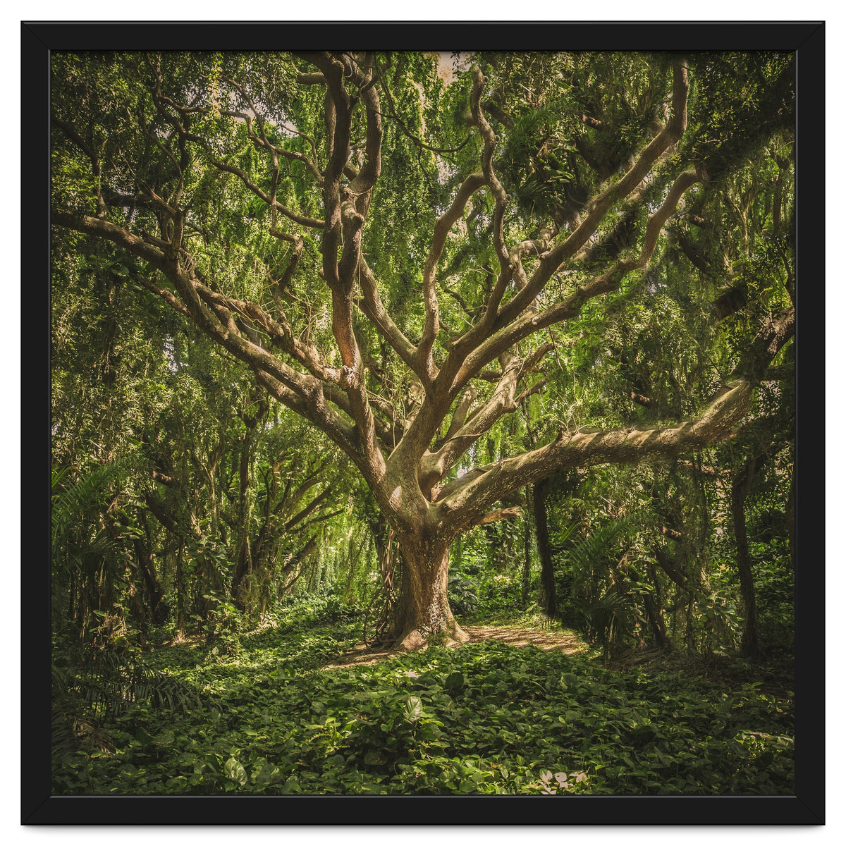 Spirits inside the wood