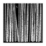 See the Forest... (Print Only) thumbnail