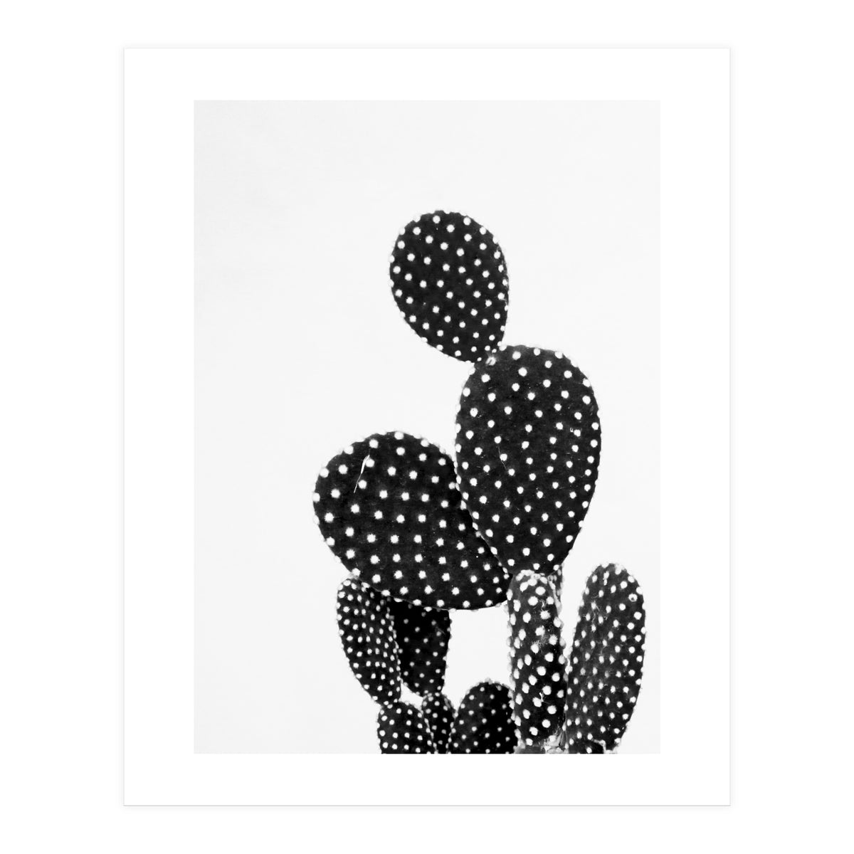 cactus vertical (Print Only)