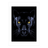 Panther (Print Only) thumbnail