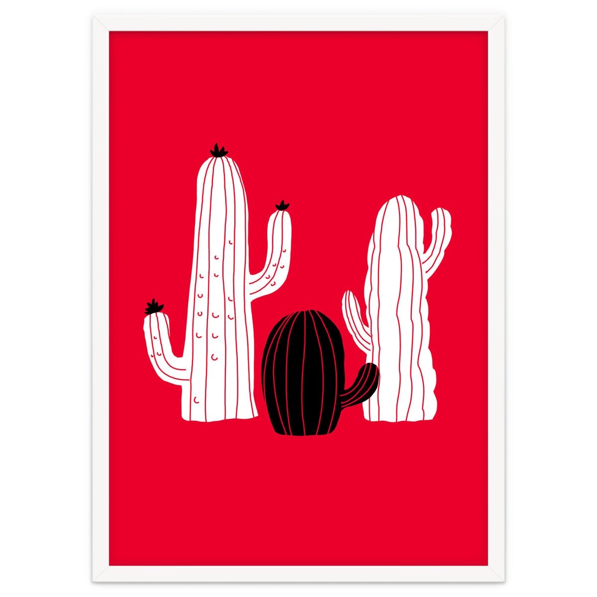 Cactus