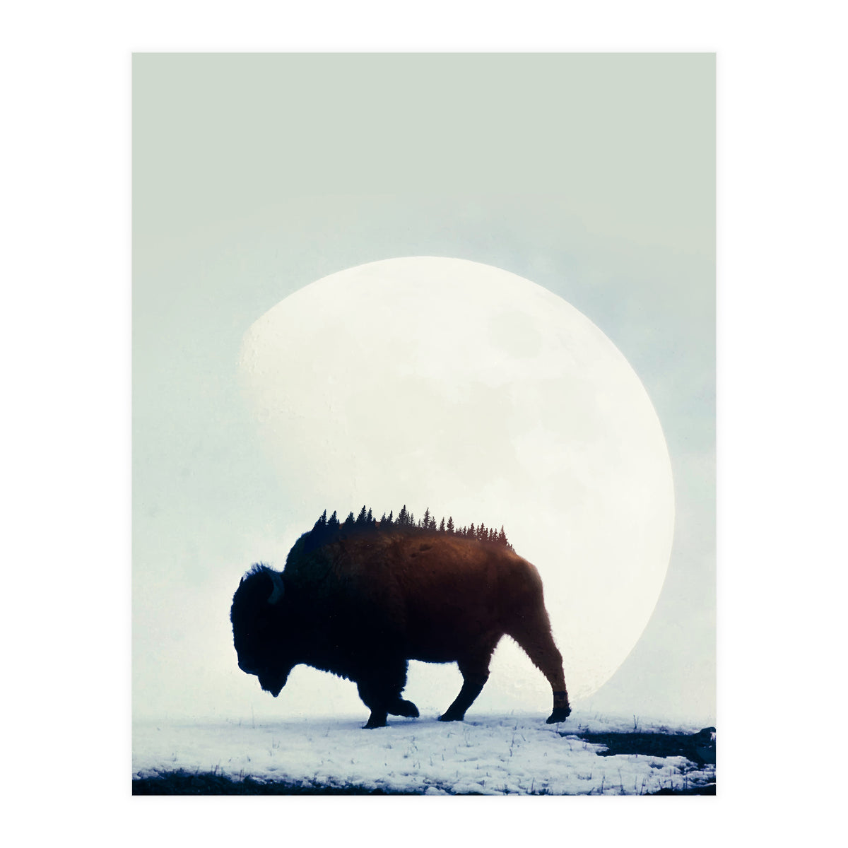 Wild West (Print Only)