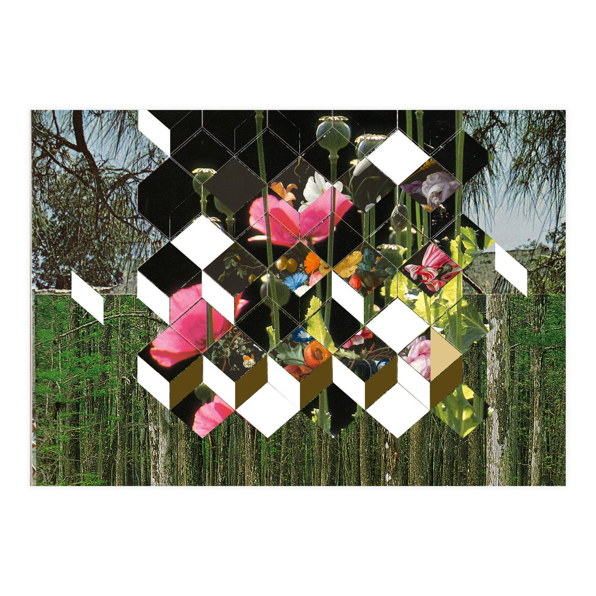 The Green (Print Only)