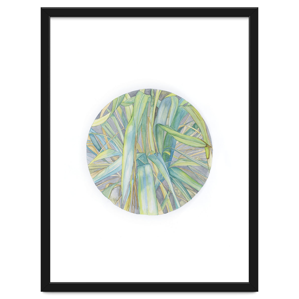 Grasses In The Late Summer Light