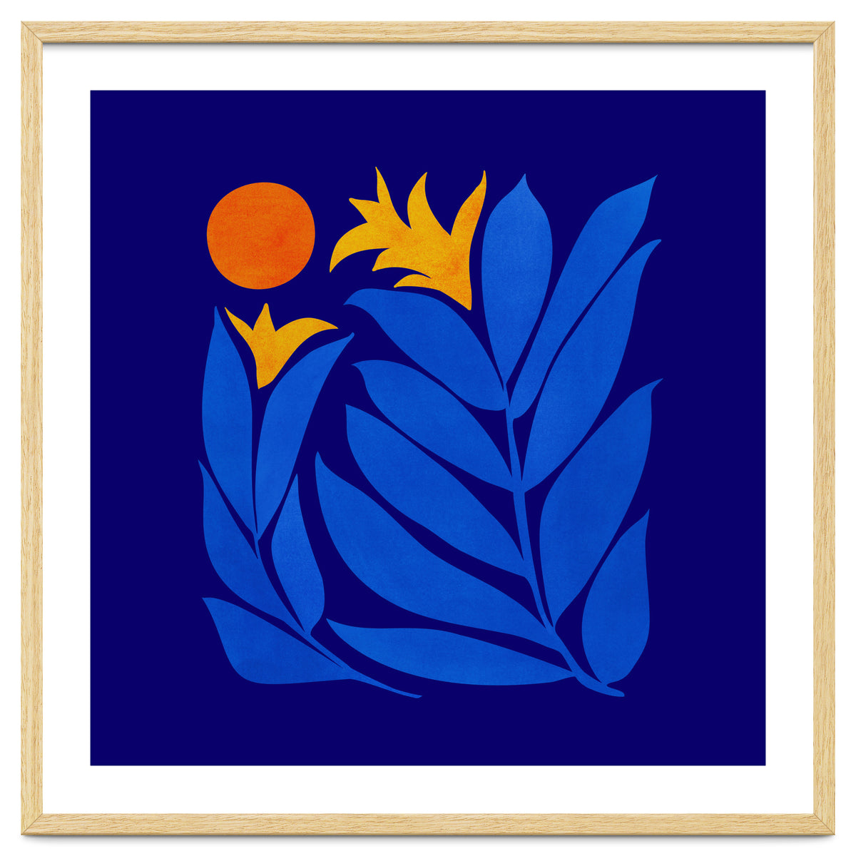 Community Garden At Night