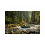 Cascade River (Print Only) thumbnail