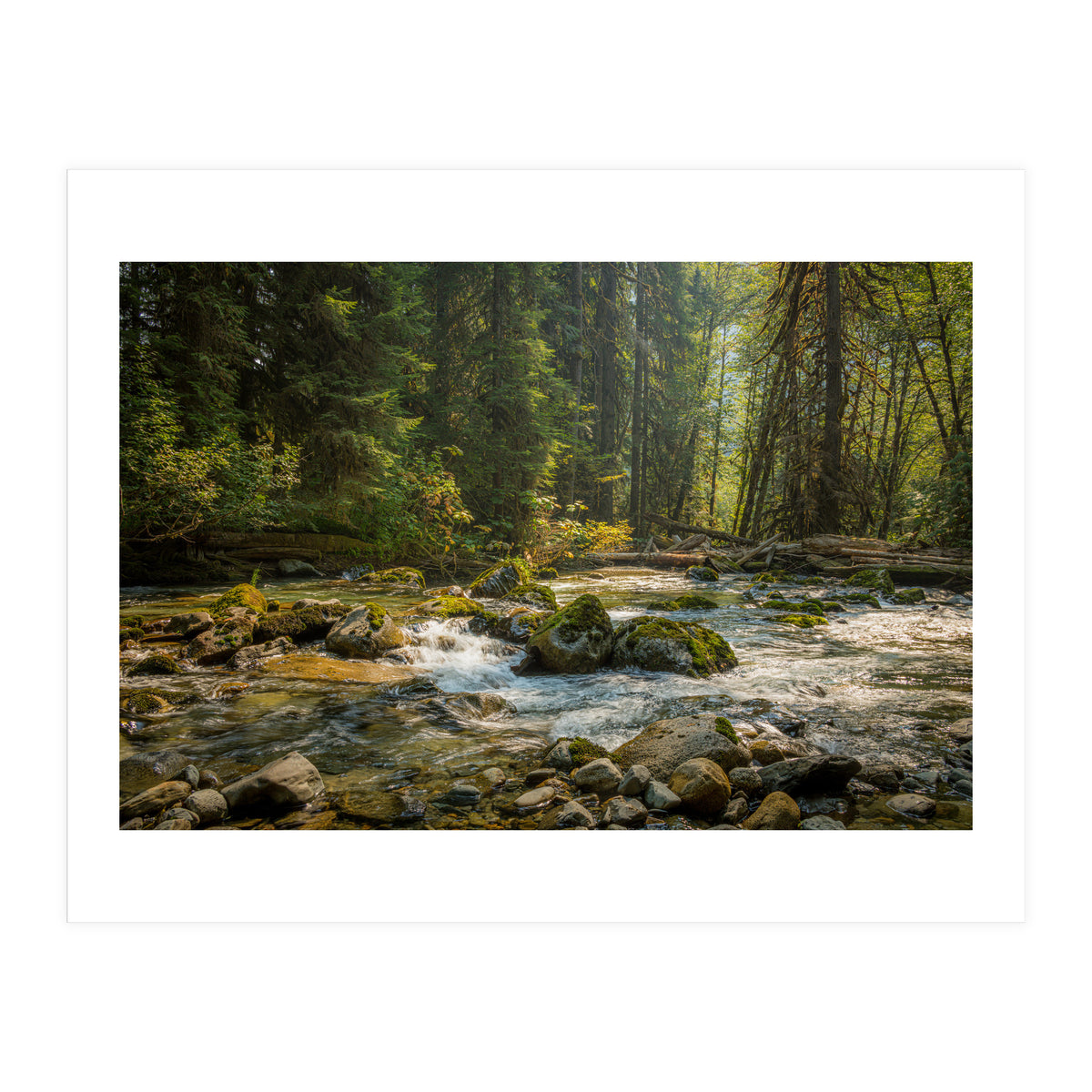 Cascade River (Print Only)