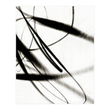 Alento2 (Print Only) thumbnail