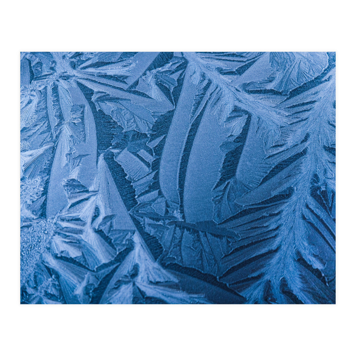 Ice Pattern Number 1 (Print Only)