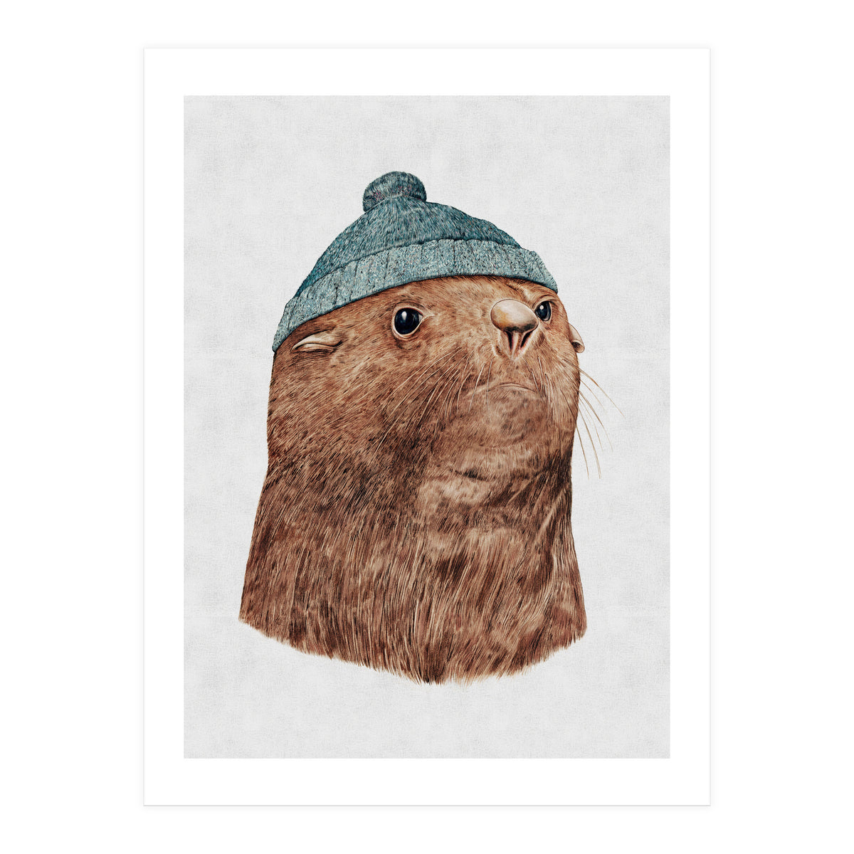 The Fur Seal (Print Only)