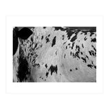 Abstract #3 (Print Only) thumbnail