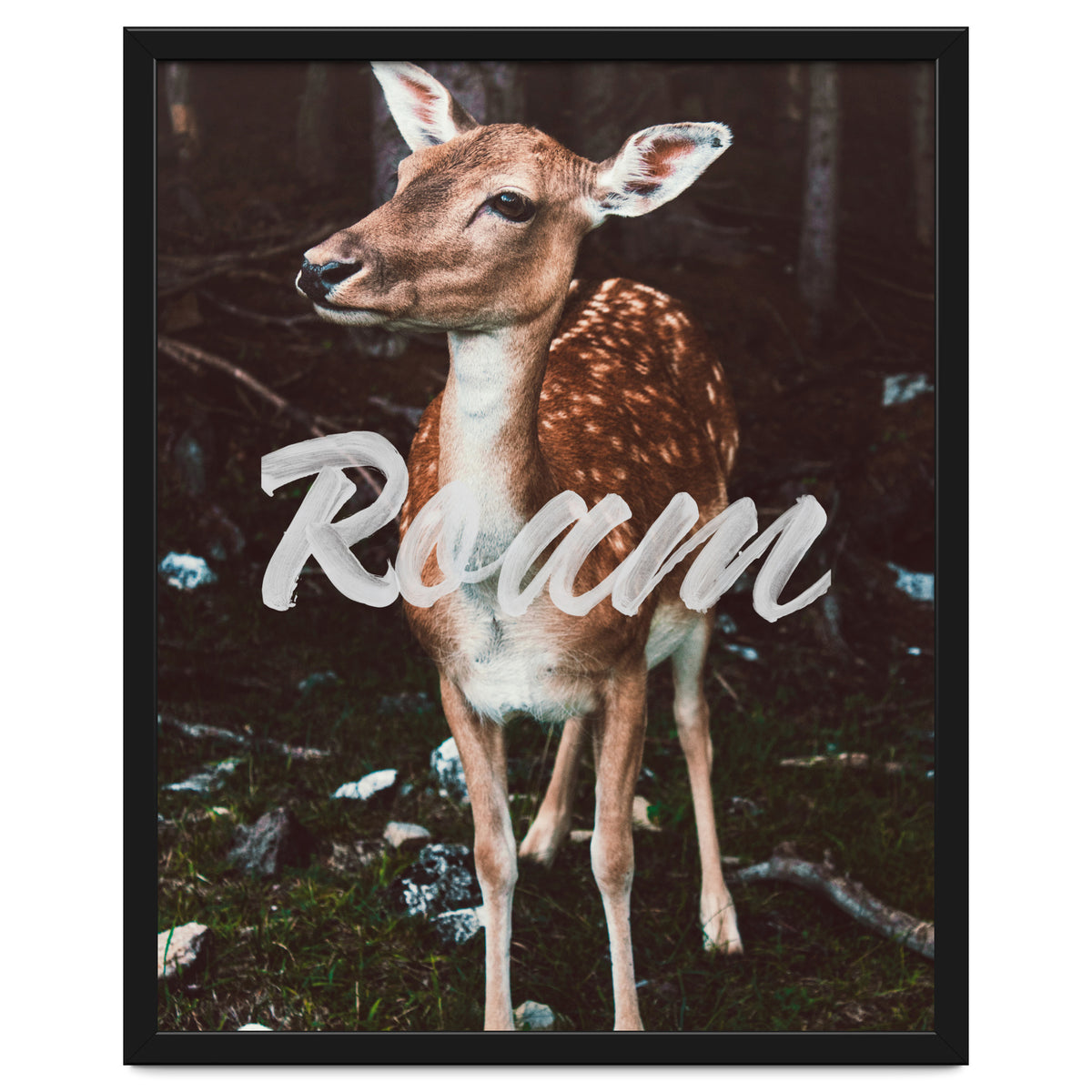 Roam