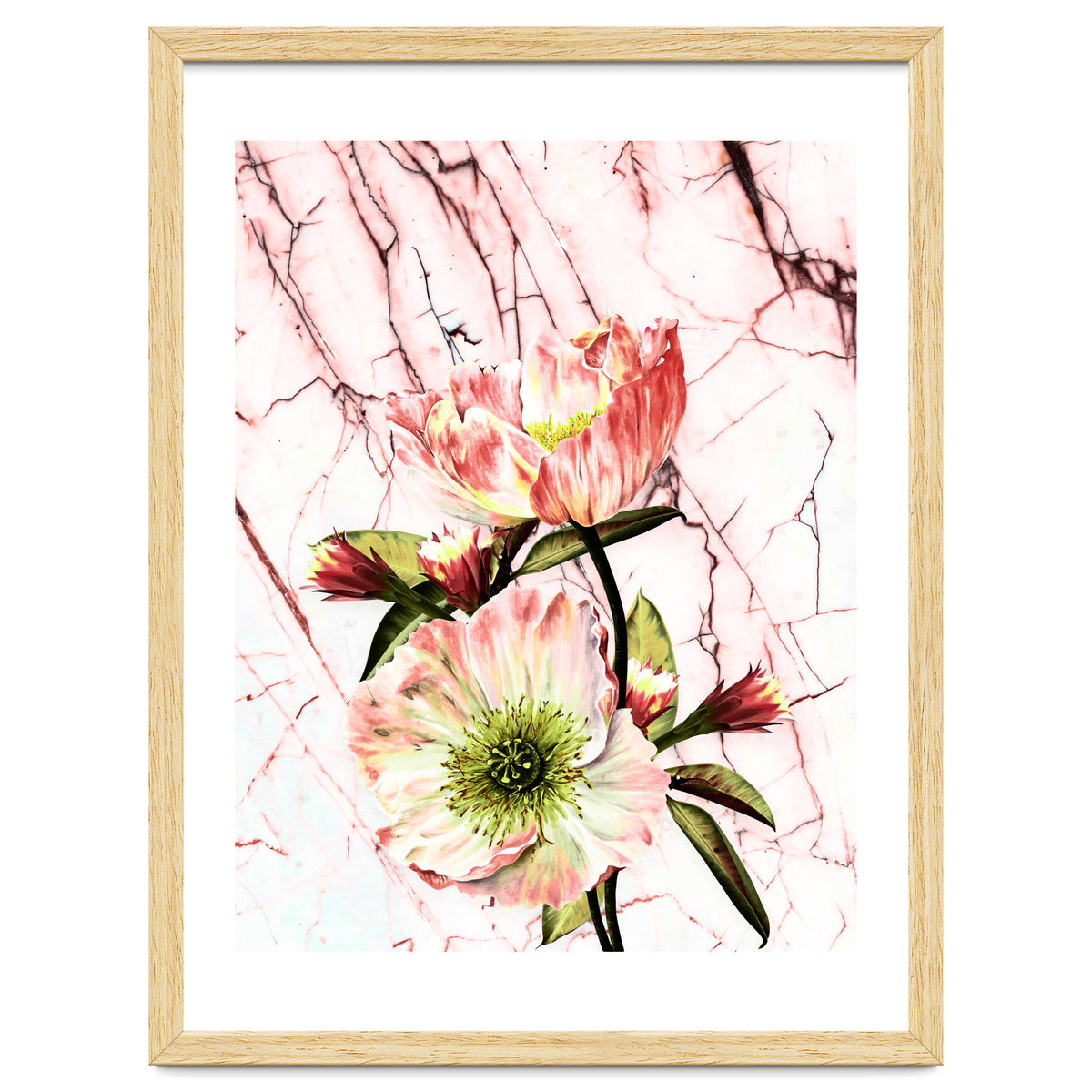 Flowering on pink marble