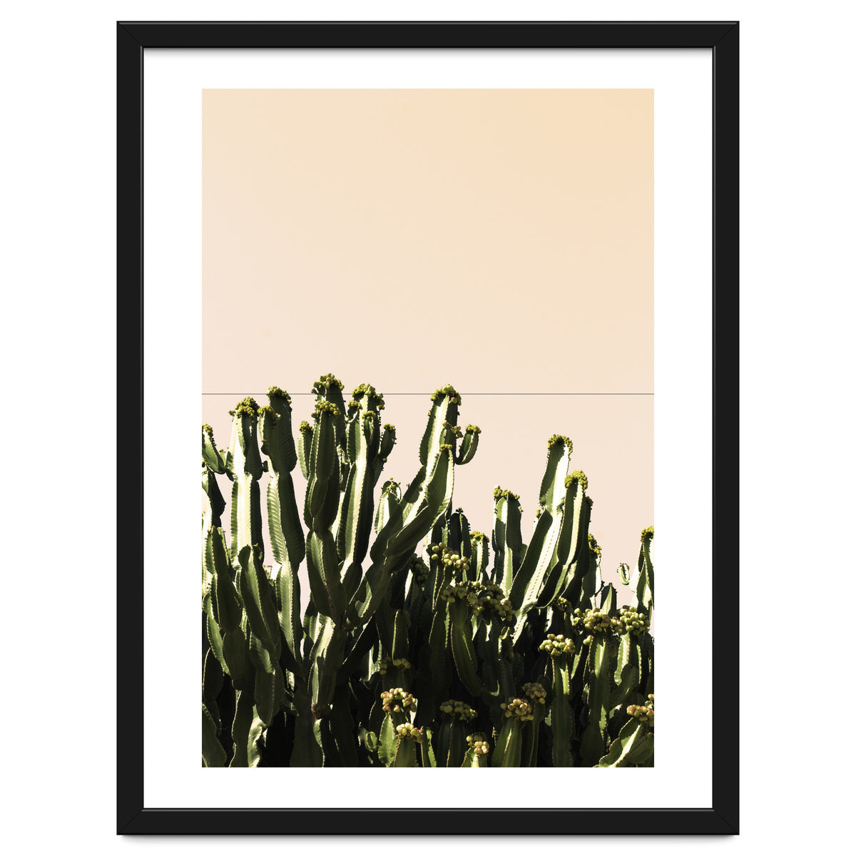 Cactus Vertical Color