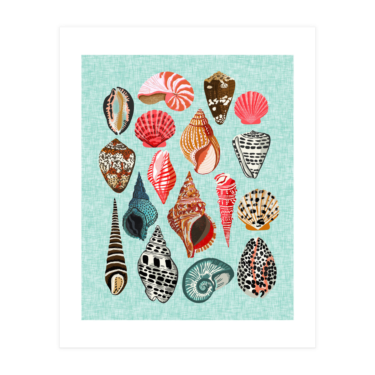 Seashells (Print Only)