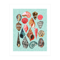 Seashells (Print Only)