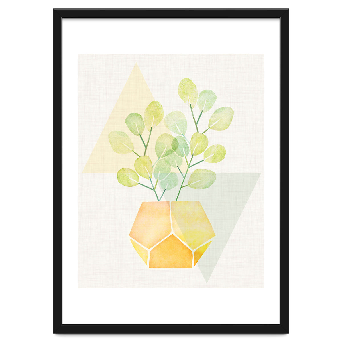 Geometry and House Plant