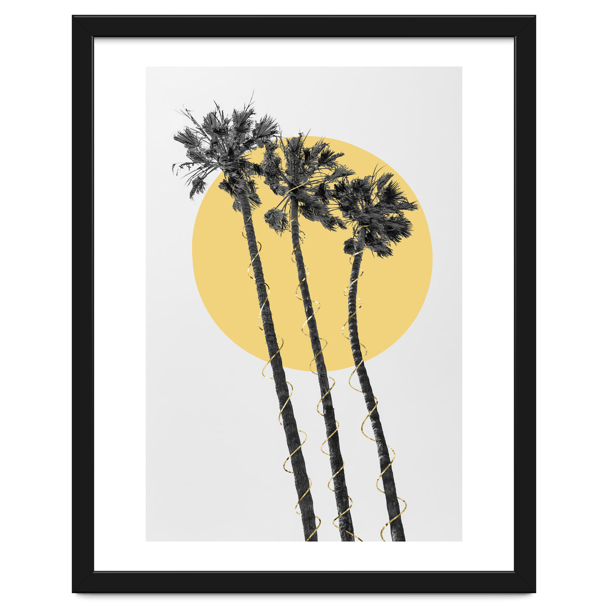 Palm Trees in the sun