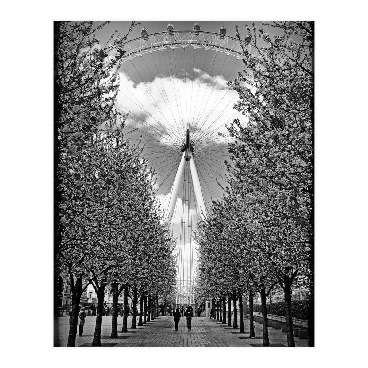 London Eye (Print Only)