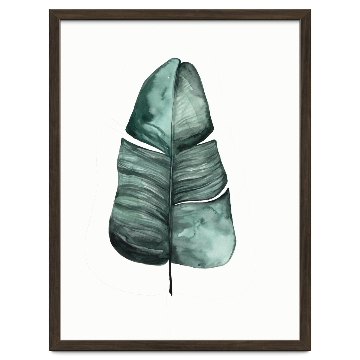 Botanical Illustration Banana Leaf