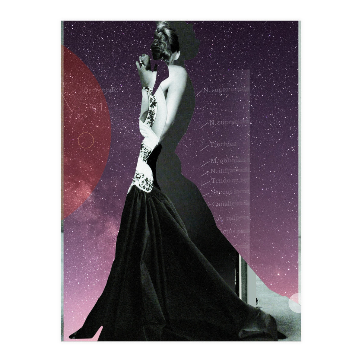 Princess (Print Only)