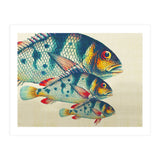 Fish Classic Designs 3 (Print Only) thumbnail