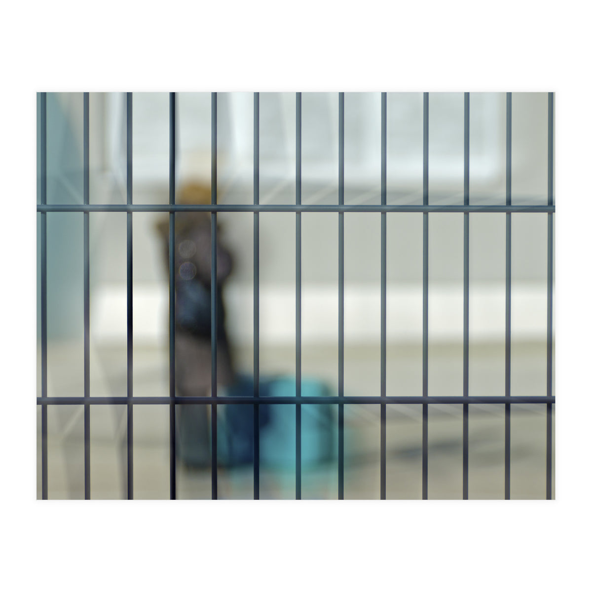 Behind a fence (Print Only)